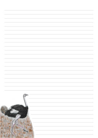 A4 page with 32 lines and a colour picture of an Ostrich iin the bottom left of the page.