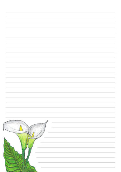 32 Lines White Lilly With Colour