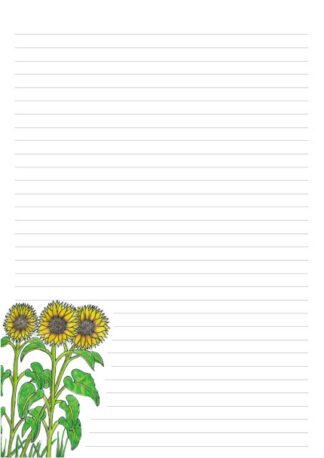 Hand drawn sunflowers on a 32 line A4 page for letter writing.