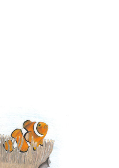 A4 page with a hand drawn picture of a clownfish on the bottom left corner