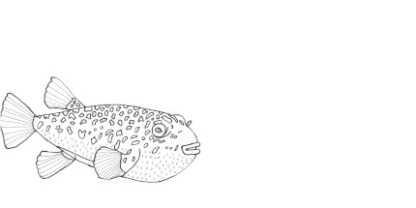 A DL Envelope with a Puffer Fish drawn on it as a colouring in picture.