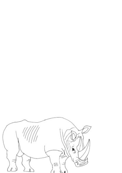 An A4 page with a hand drawn White Rhino as a colouring in picture on the bottom left corner to write letters.