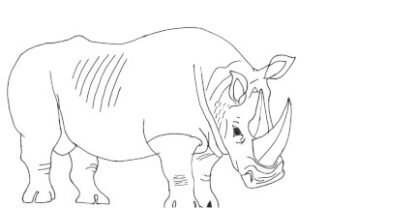 A DL Envelope with a hand drawn White Rhino